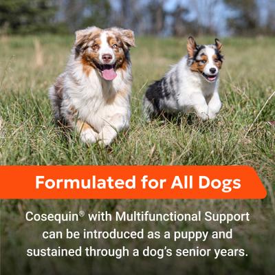 Cosequin Joint Health with Multifunctional Support Soft Chews Supplement for Dogs, 90 count