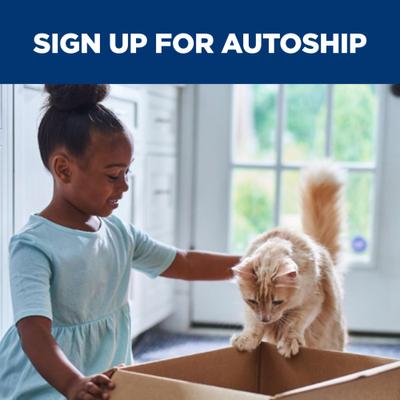 k/d Early Support Chicken Wet Cat Food, 2.9-oz, case of 24