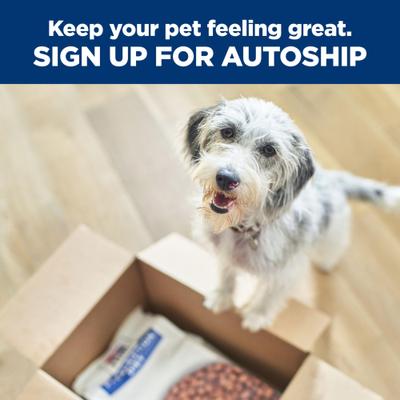 k/d + j/d Kidney Care + Mobility Care with Chicken & Vegetable Stew Wet Dog Food, 12.5-oz can, case of 12