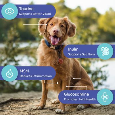 Unflavored Electrolyte & Joint Supplement for Dogs, 16 count