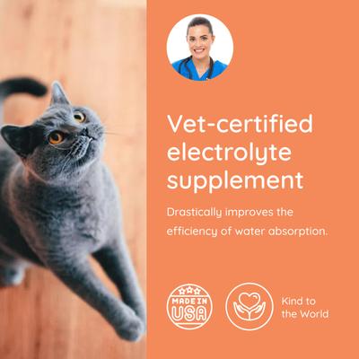 Tuna Flavored Electrolyte & Joint Supplement for Cats, 16 count