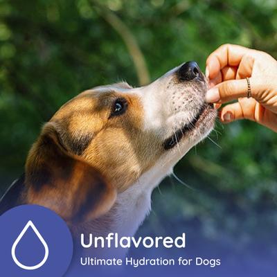 Unflavored Electrolyte & Joint Supplement for Dogs, 16 count