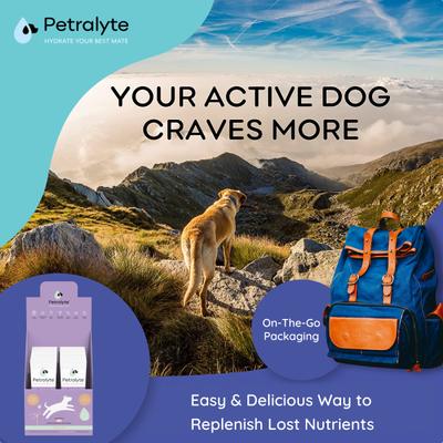 Unflavored Electrolyte & Joint Supplement for Dogs, 16 count