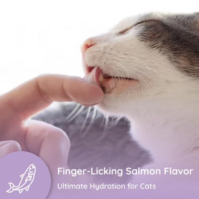 Salmon Flavored Electrolyte & Joint Supplement for Cats, 16 count