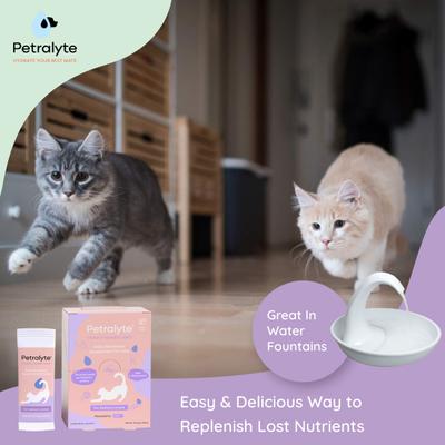 Salmon Flavored Electrolyte & Joint Supplement for Cats, 16 count