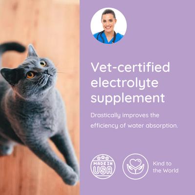 Salmon Flavored Electrolyte & Joint Supplement for Cats, 16 count