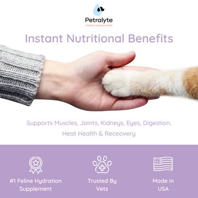 Salmon Flavored Electrolyte & Joint Supplement for Cats, 16 count