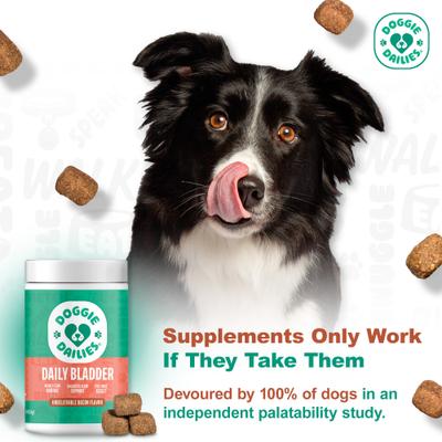 Bacon Flavored Cranberry Urinary Support Dog Supplement, 225 count