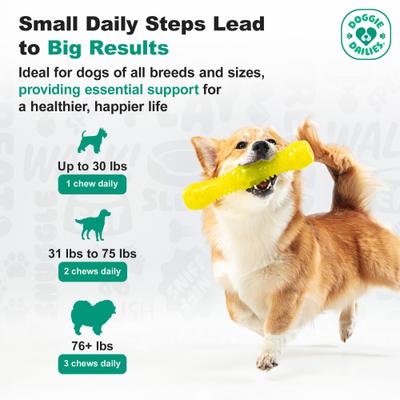 Advanced Smoked Duck Flavored Soft Chew Hip & Joint Supplement for Senior Dogs, 120 count