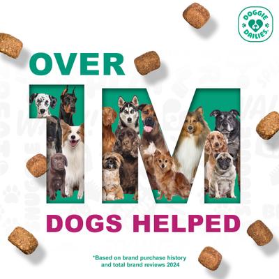 Advanced Smoked Duck Flavored Soft Chew Hip & Joint Supplement for Senior Dogs, 120 count