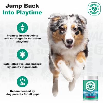 Advanced Smoked Duck Flavored Soft Chew Hip & Joint Supplement for Senior Dogs, 120 count