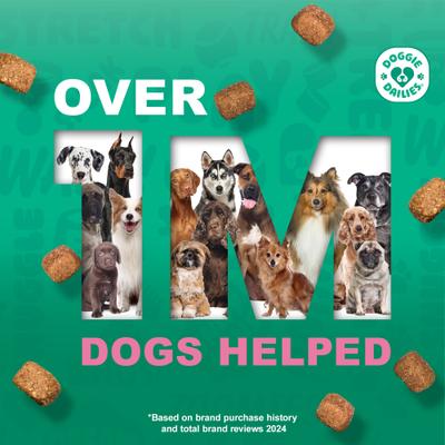 Salmon Flavored Skin & Coat Dog Supplements, 225 count