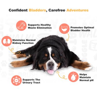 Chicken Flavored Cranberry Urinary Support Dog Supplement, 225 count