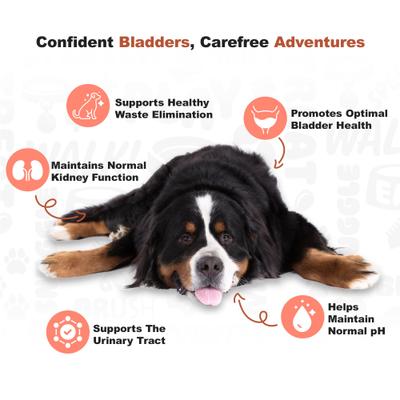 Bacon Flavored Cranberry Urinary Support Dog Supplement, 225 count