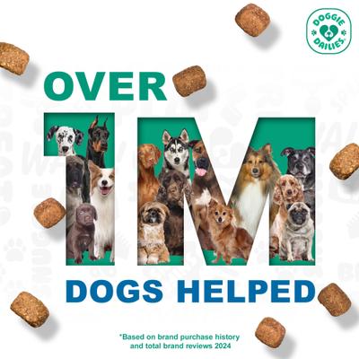 Salmon Omega Chews Dog Supplement, 1-lb bottle