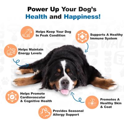 Salmon Omega Chews Dog Supplement, 1-lb bottle