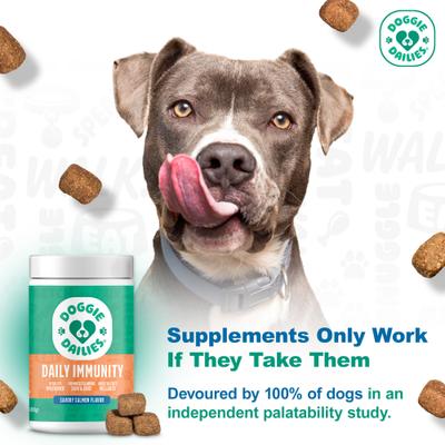 Salmon Omega Chews Dog Supplement, 1-lb bottle