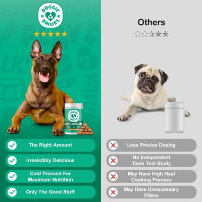 Advanced Peanut Butter flavored Soft Chews Hip & Joint Supplement for Dogs, 225 count