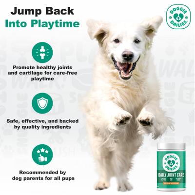 Advanced Peanut Butter flavored Soft Chews Hip & Joint Supplement for Dogs, 225 count