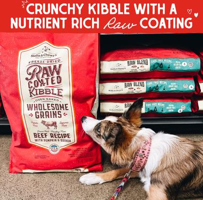 Raw Coated Wholesome Grain Grass-Fed Beef Recipe Dry Dog Food, 22-lb bag