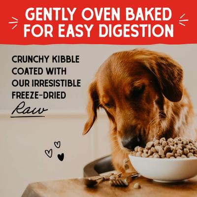 Raw Coated Cage-Free Duck Recipe Grain-Free Dry Dog Food, 3.5-lb bag