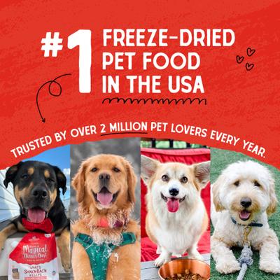 Raw Coated Wholesome Grains Cage-Free Chicken Recipe with Pumpkin & Quinoa Puppy Dry Dog Food, 22-lb bag