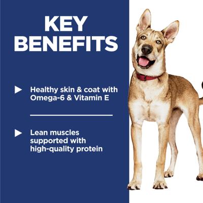 Adult Chicken & Barley Recipe Dry Dog Food, 5-lb bag