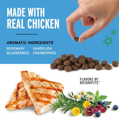 Mini Training Reward Chicken Flavor Dog Treats, 4-oz bag