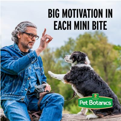 Training Reward Bacon Flavor Dog Treats, 20-oz bag