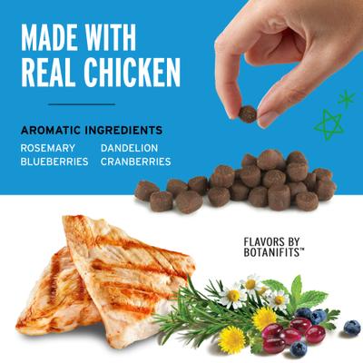 Training Reward Chicken Flavor Dog Treats, 20-oz bag