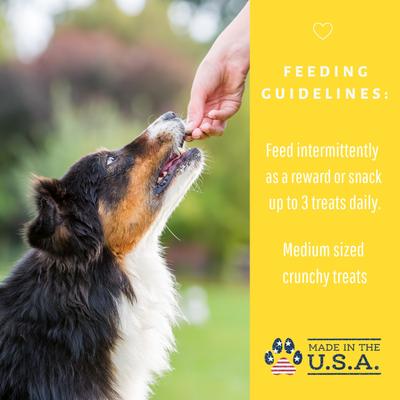 Organic Peanut Butter Banana Dog Treats, 6-oz bag