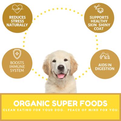 Organic Peanut Butter Banana Dog Treats, 6-oz bag