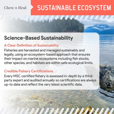 Suplemento para la piel y el pelaje de perros con aceite de salmón salvaje de Alaska puro certificado por el MSC (botella de 236 ml)