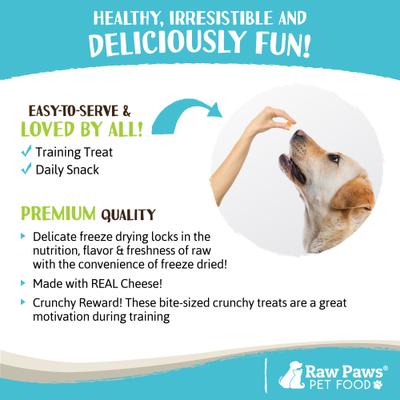 Golosinas para perros con queso cheddar liofilizado, 3 oz