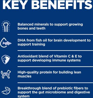 Puppy Lamb Meal & Brown Rice Recipe Dry Dog Food, 12.5-lb bag