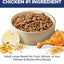 Adult 1-5 Large Breed Chicken & Brown Rice Recipe No Corn, Wheat or Soy Dry Dog Food, 30-lb bag