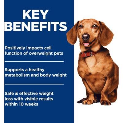 Alimento seco para perros de razas pequeñas y mini para adultos con receta de pollo, bolsa de 4 lb