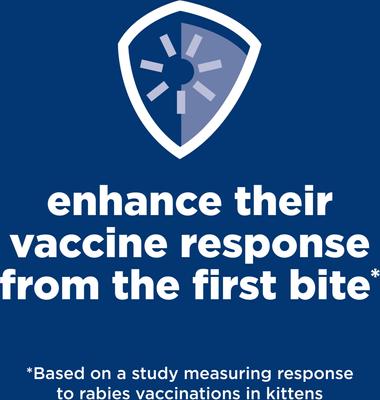 Indoor Kitten Dry Cat Food, 7-lb bag