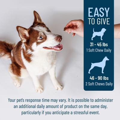 Solliquin Soft Chew Calming Behavioral Health Supplement for Large Dogs, 75 count