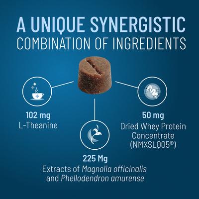 Solliquin Soft Chew Calming Behavioral Health Supplement for Large Dogs, 75 count