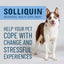Solliquin Soft Chew Calming Behavioral Health Supplement for Large Dogs, 75 count