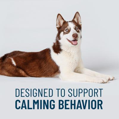 Solliquin Soft Chew Calming Behavioral Health Supplement for Large Dogs, 75 count