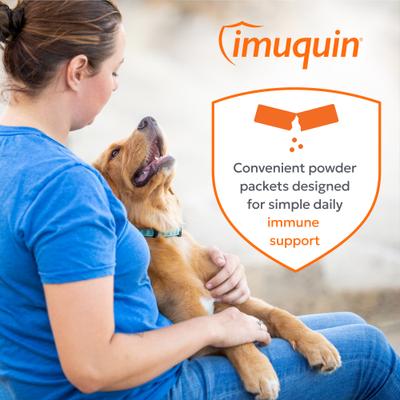 Imuquin Immune Support Powder Immune Supplement for Dogs, 30 count