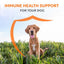 Imuquin Immune Support Powder Immune Supplement for Dogs, 30 count