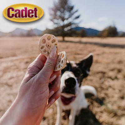 Golosinas para perros Gourmet Homestyle Lotus Root Crunch'ems con sabor a pollo y verduras, 10 unidades