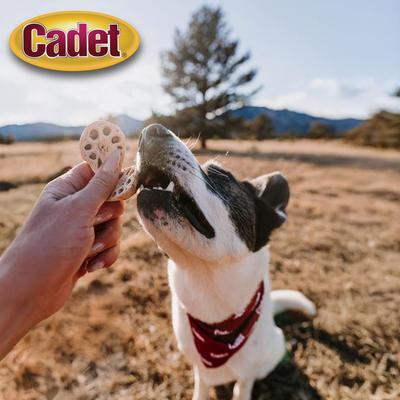 Gourmet Homestyle Lotus Root Crunch'ems Duck 'N Veggie Flavor Dog Treats, 10 count