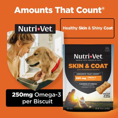 Skin & Coat Peanut Butter Flavor Biscuits Supplement for Dogs, 16-oz bag