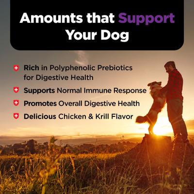 Immune & Digestive Health Chicken Flavor Supplement for Dogs, 16-oz jar