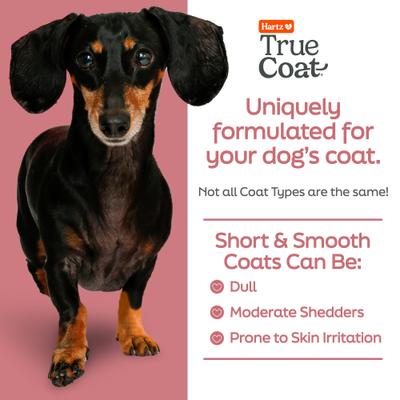 Champú para perros True Coat Short & Smooth, suaviza y da brillo con leche de avena, aceite de coco y vitamina E, botella de 16 onzas líquidas