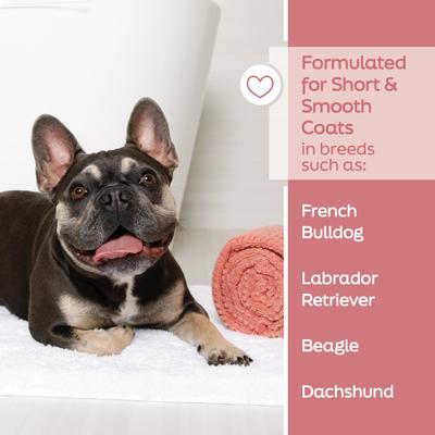 True Coat Short & Smooth Soothes & Shines with Oat Milk, Coconut Oil & Vitamin E Dog Shampoo, 16-fl oz bottle